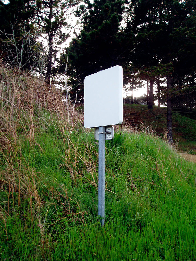 P4210046.jpg