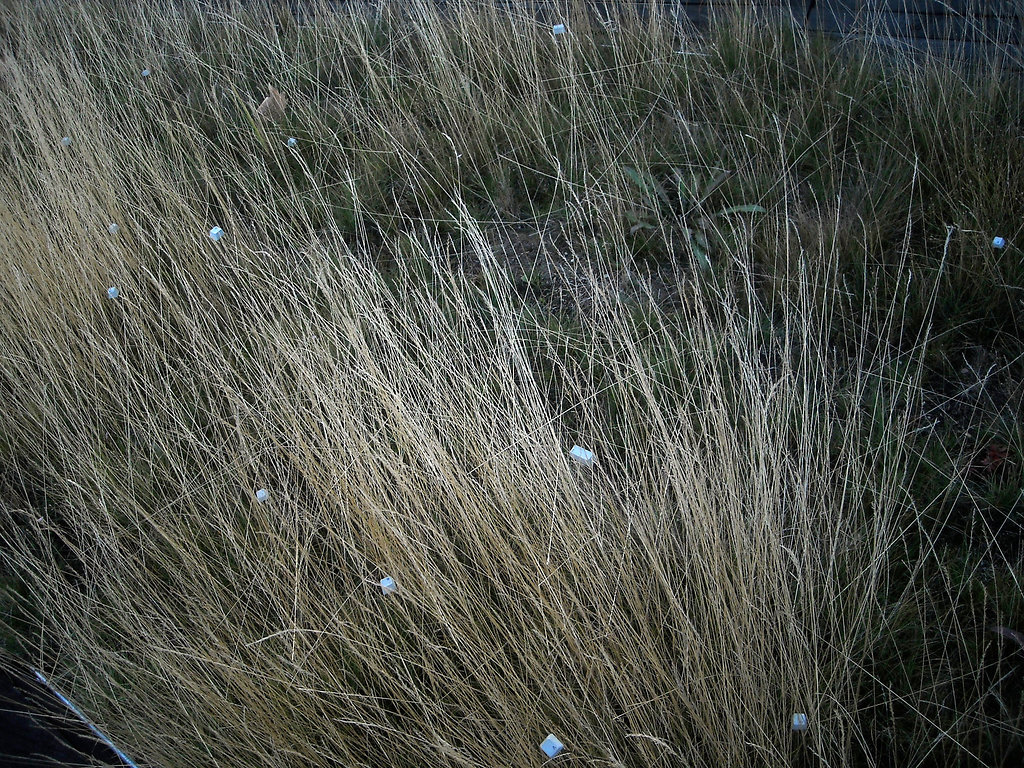 DSCN0028.jpg