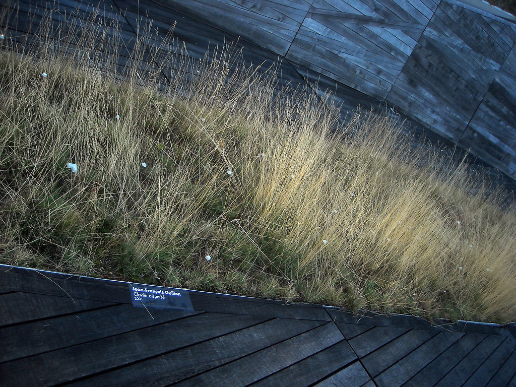 DSCN0025.jpg