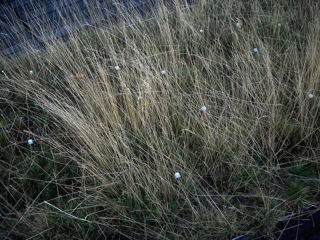 DSCN0027.jpg