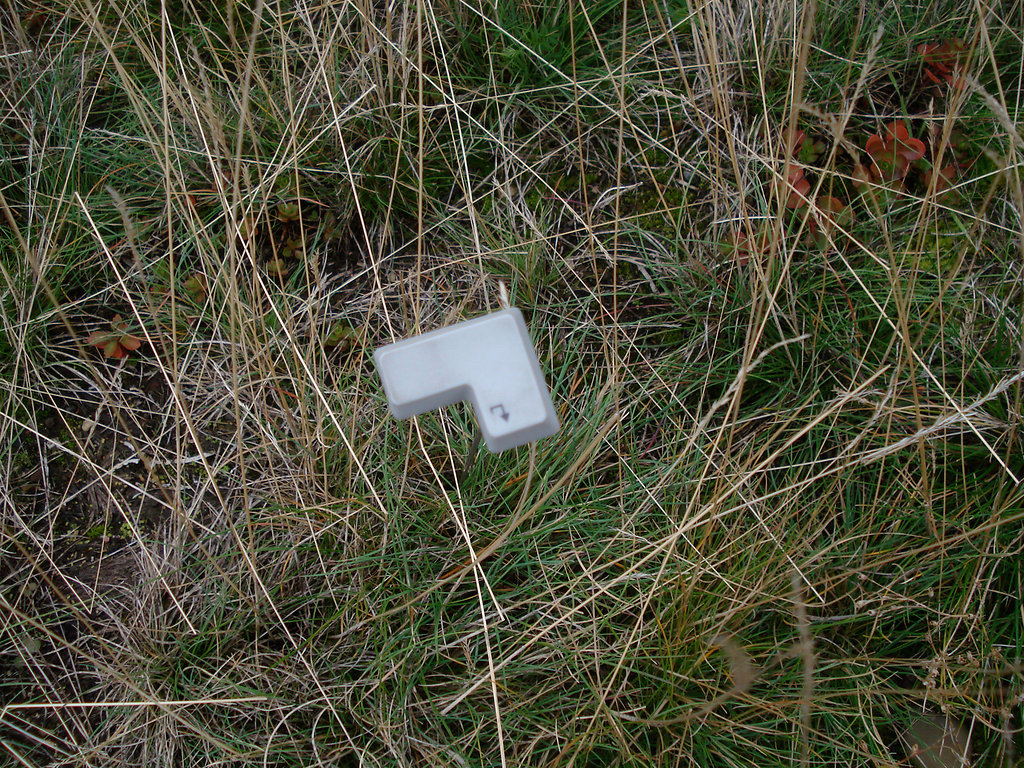 DSC06566.jpg
