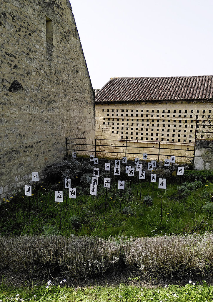 Expo-RNVP3.jpg
